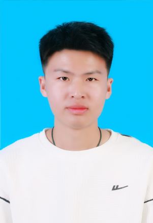 姓名: