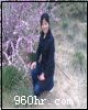 賈女士